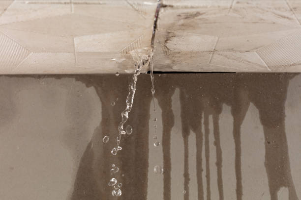 Professional Water Damage Repair technician working in Lambert Lake, ME